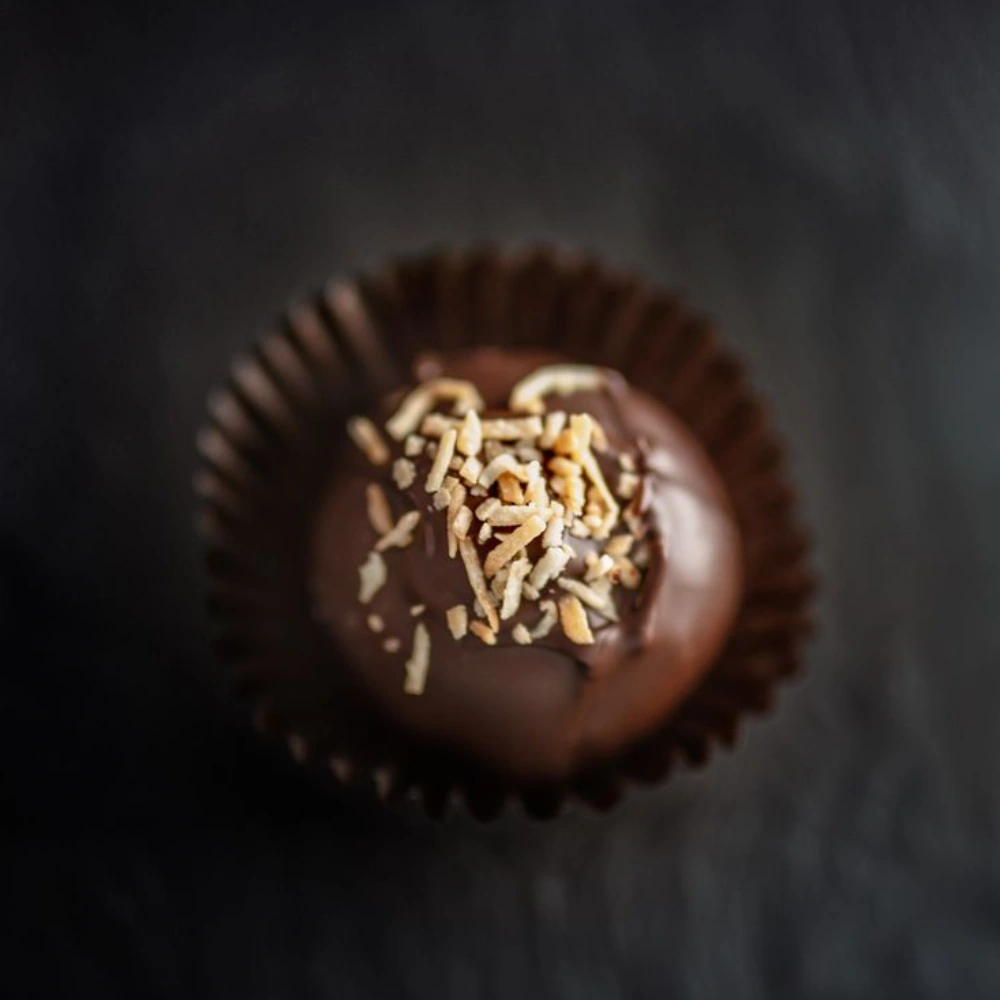 Coconut Chocolate Truffle